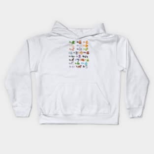 ABC: Animal Alphabet Kids Hoodie